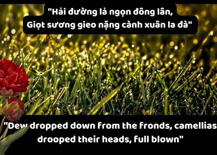 Câu thơ trong Truyện Kiều của Nguyễn Du