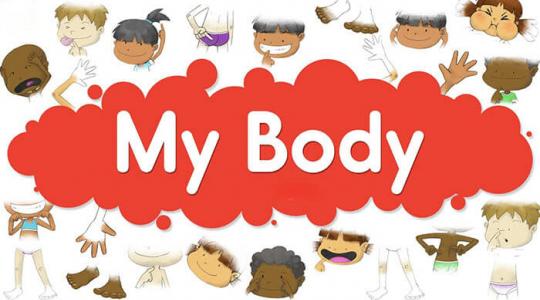 Tìm hiểu những cụm từ về bộ phận cơ thể người tiếng Anh