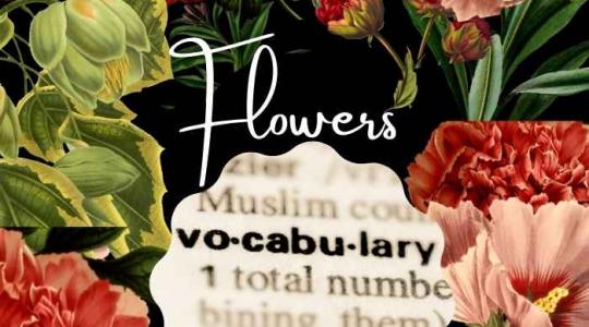Nâng cấp vốn từ vựng về hoa trong tiếng Anh tạo ấn tượng mạnh
